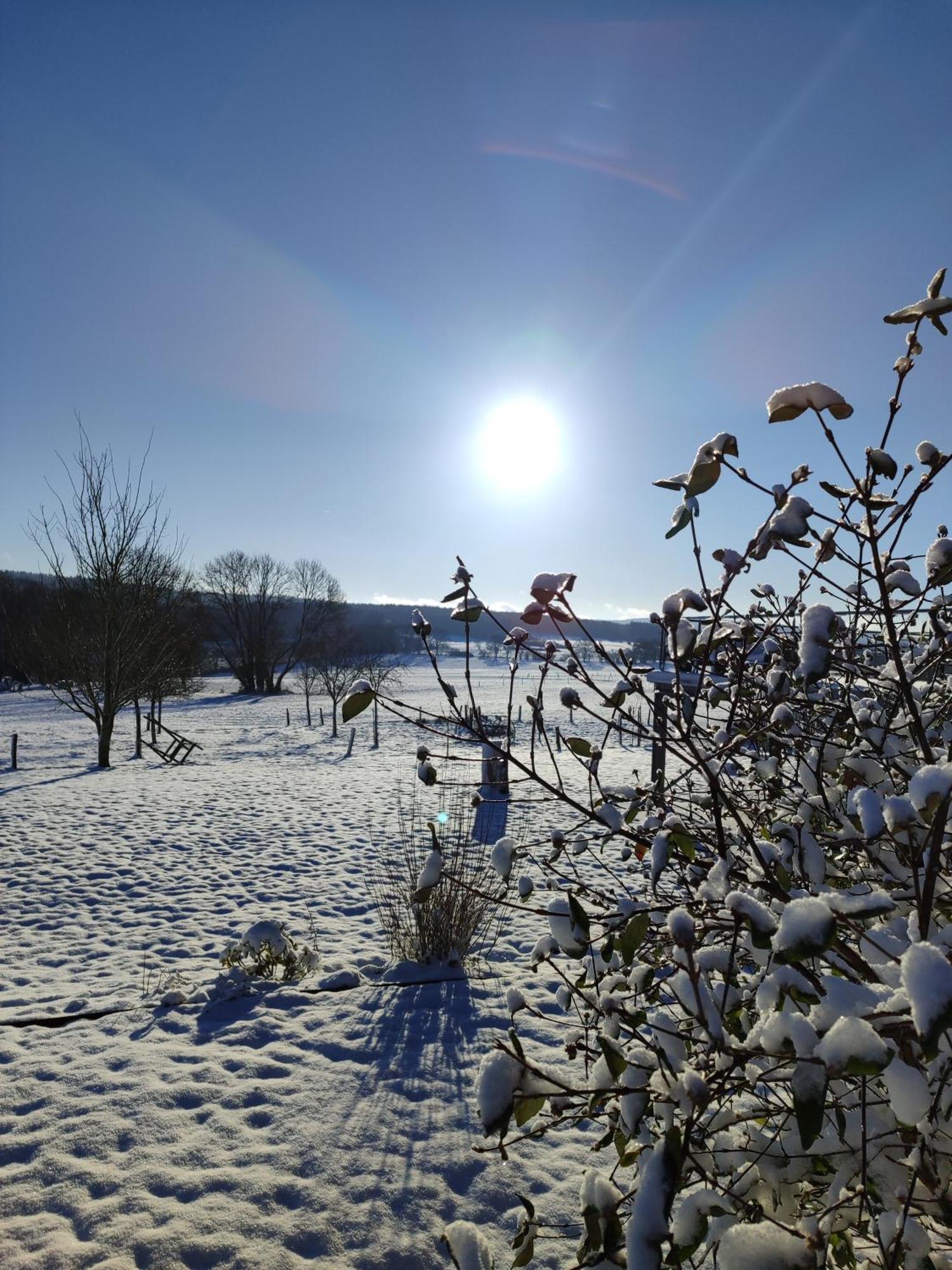 La Croisee Des Champs, Gite Entre Durbuy Et La Roche En Ardenne Érezée 外观 照片