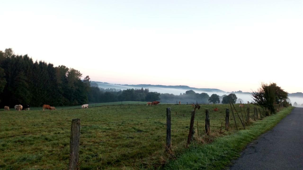 La Croisee Des Champs, Gite Entre Durbuy Et La Roche En Ardenne Érezée 外观 照片